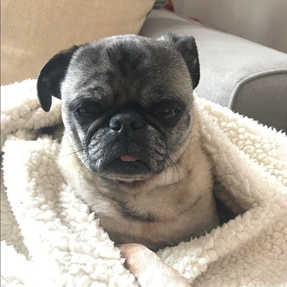 Meet your Posher, Hannah - Picture 1 of 1